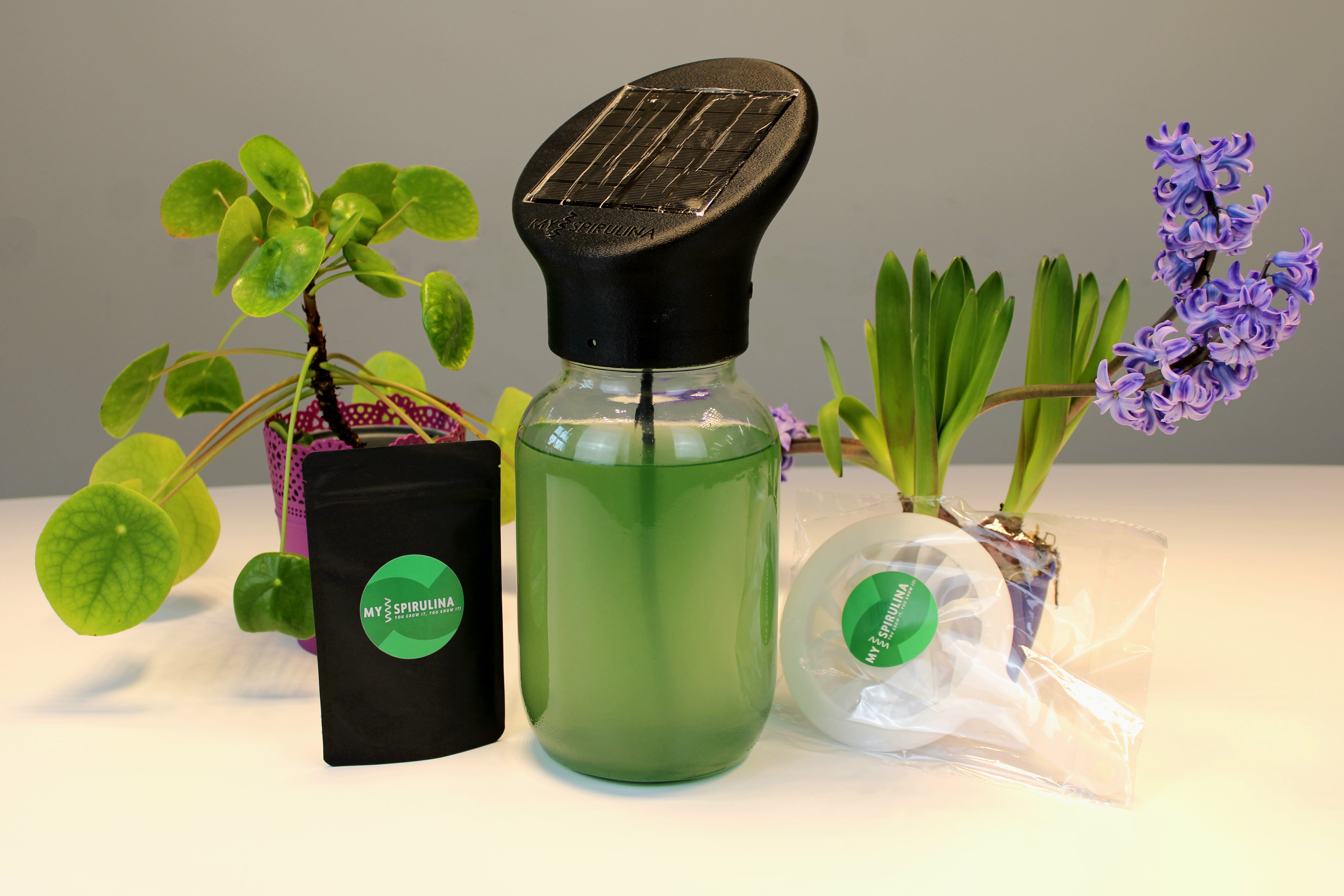 Das komplette Spirulina-Set, auf einem Tisch ausgelegt: Einzelteile wie die Flasche mit Spirulina, Kultivierungsbehälter, Anleitungsheft und weiteres Zubehör, übersichtlich angeordnet und gut sichtbar.