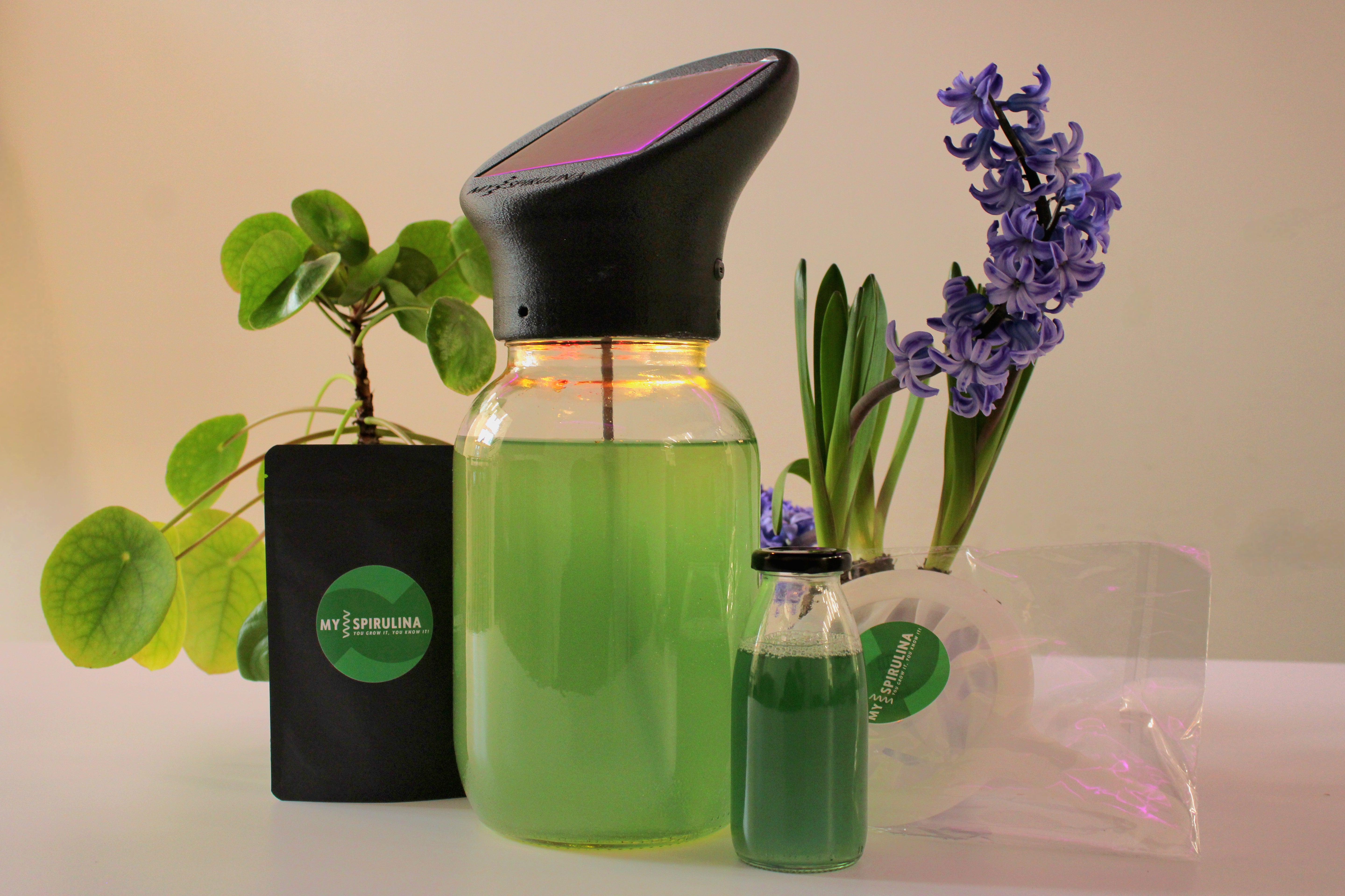 Das komplette Spirulina-Set, auf einem Tisch ausgelegt: Einzelteile wie die Flasche mit Spirulina, Kultivierungsbehälter, Anleitungsheft und weiteres Zubehör, übersichtlich angeordnet und gut sichtbar.