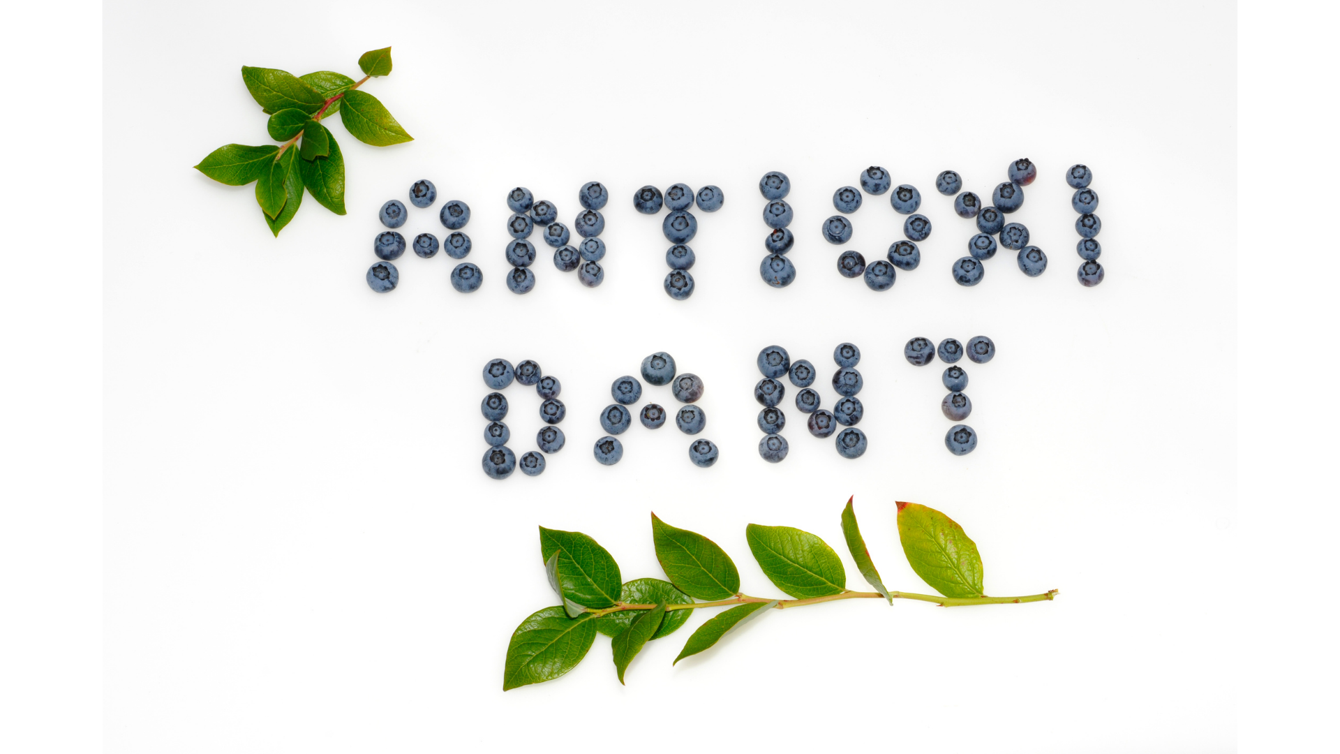 Bild mit Blaubeeren, die so arrangiert sind, dass sie die Schrift ‚Antioxidant‘ bilden.