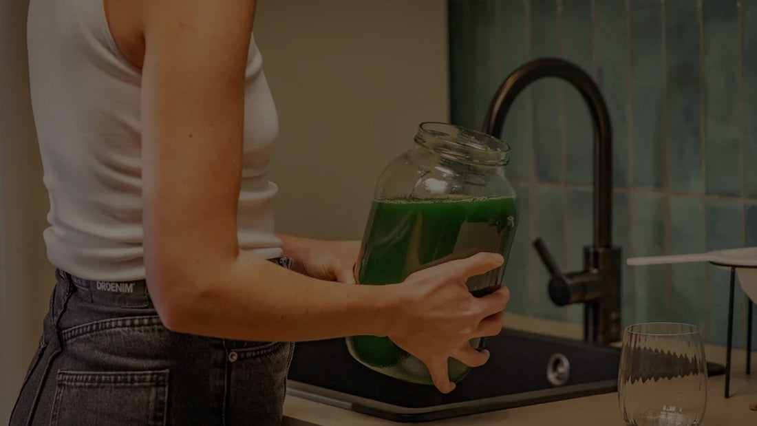 Superfood selbst anbauen: Was auf der Fensterbank geht