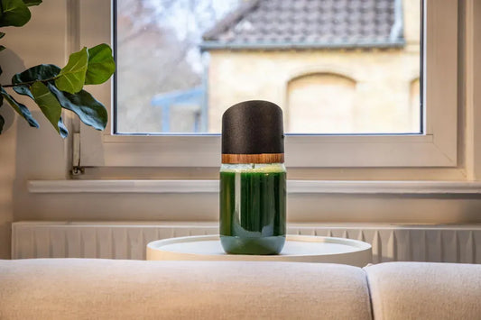 Spirulina Nährstoffe: Was wirklich drinsteckt