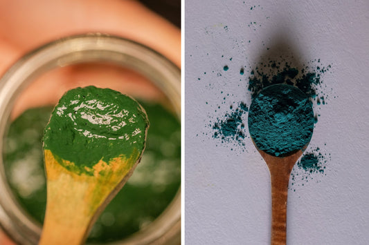 Frische Spirulina vs. Pulver: Was ist besser? 