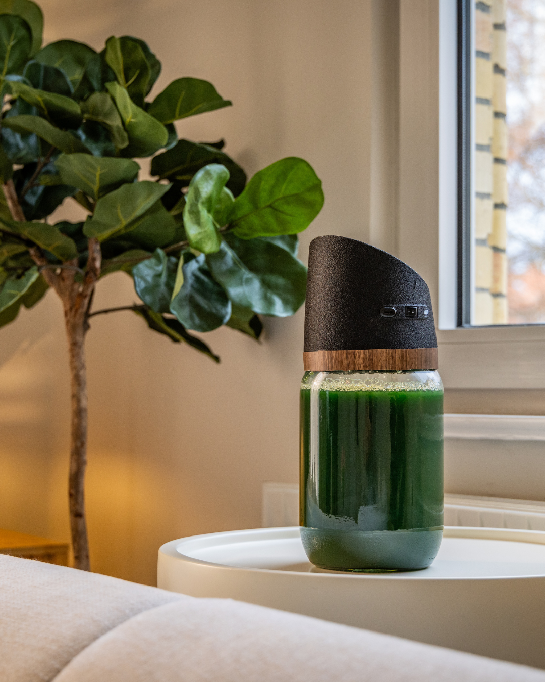 MySpirulina Farm mit erntereifer, dunkelgrüner Spirulina-Kultur