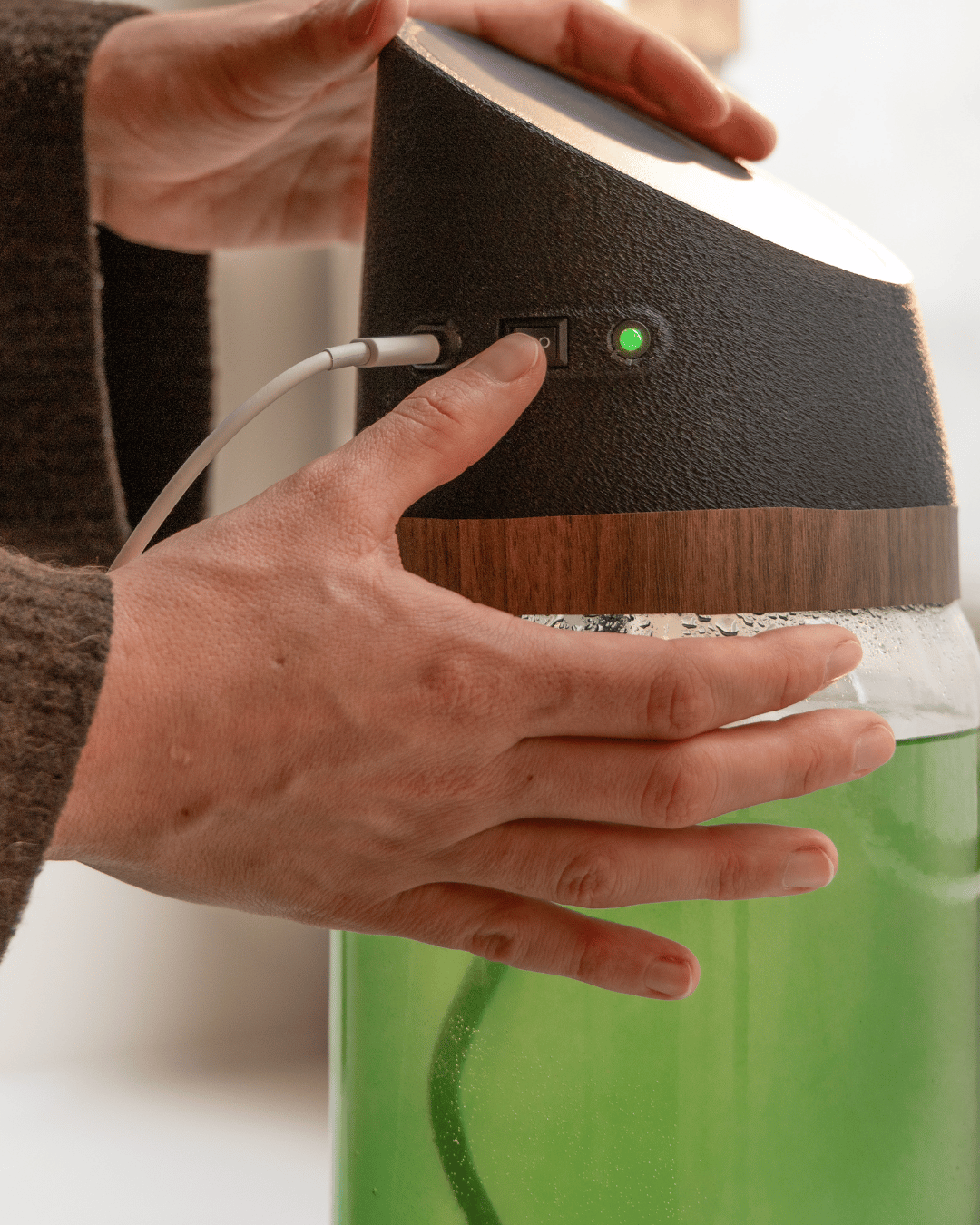 Myspirulina anbauen anschalten 