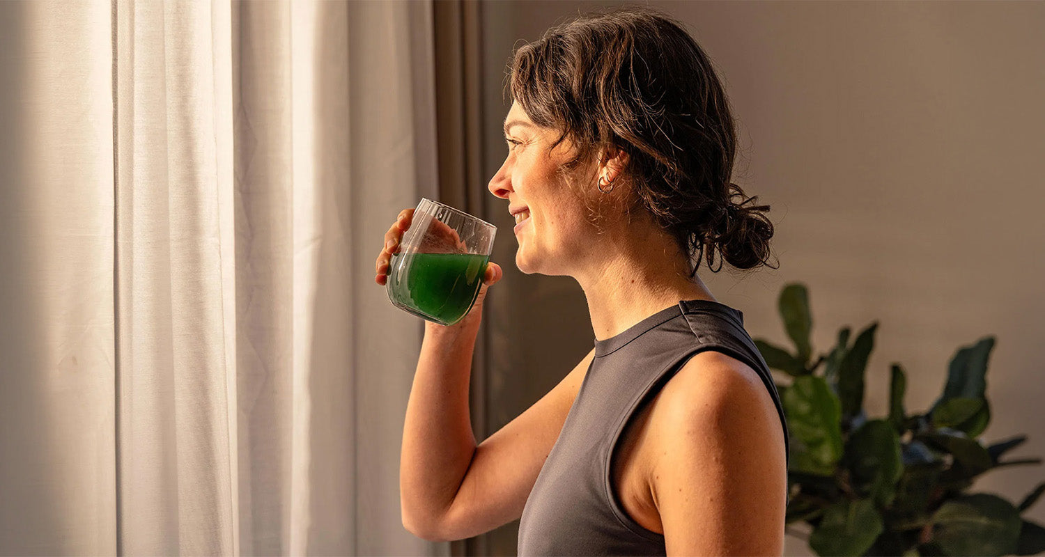 Frische Spirulina aus der MySpirulina Farm