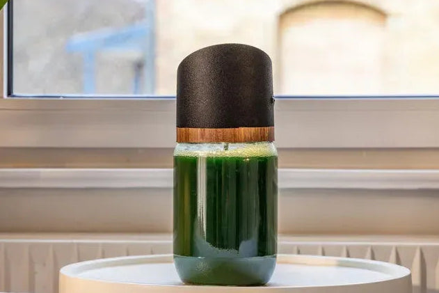 Die MySpirulina Farm