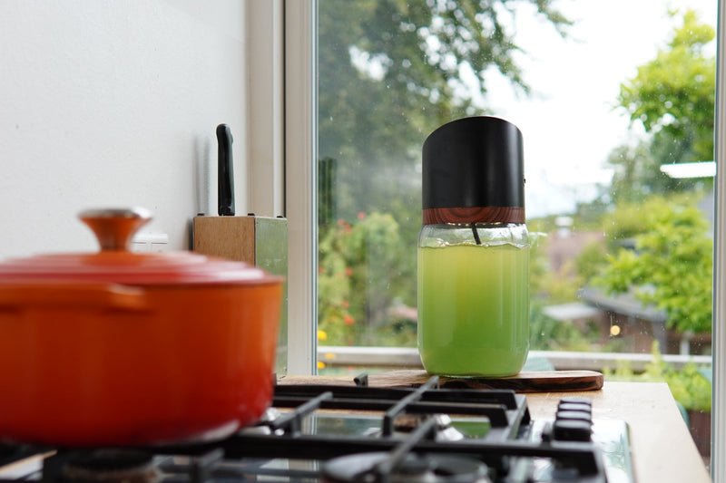 MySpirulina Farm mit heller Spirulina-Kultur am Küchenfenster neben dem Herd