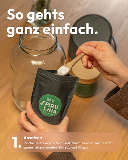 So geht's Schritt 1: Spirulina-Kultur mit Nährsalz und Wasser ansetzen