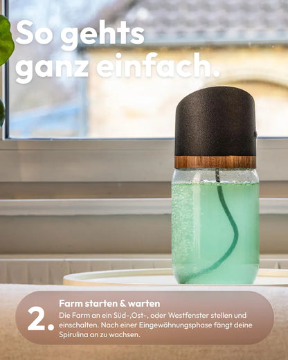 So geht's Schritt 2: MySpirulina Farm ans Fenster stellen und wachsen lassen