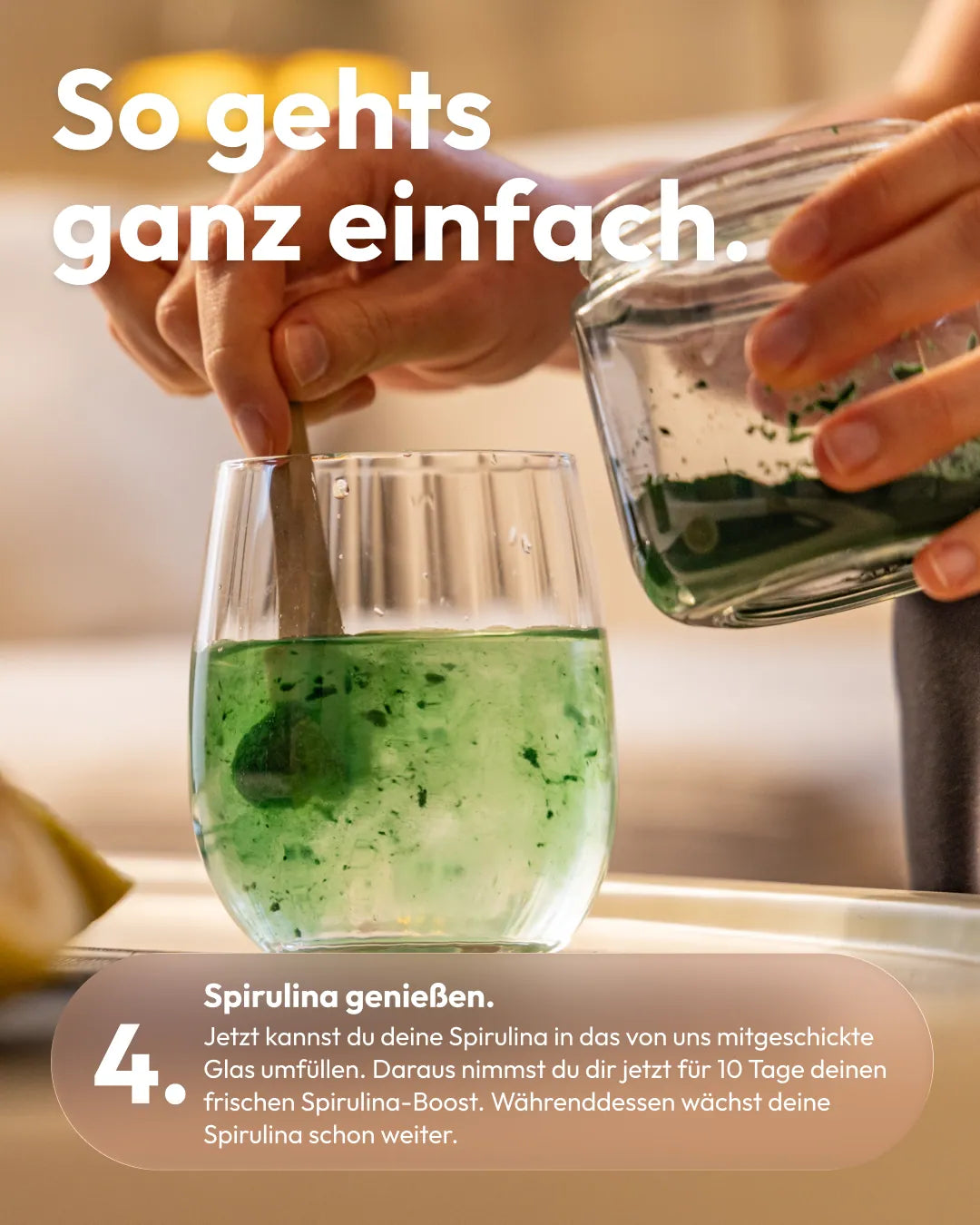 So geht's: Frische Spirulina im Glas genießen