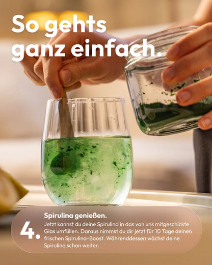 So geht's: Frische Spirulina im Glas genießen