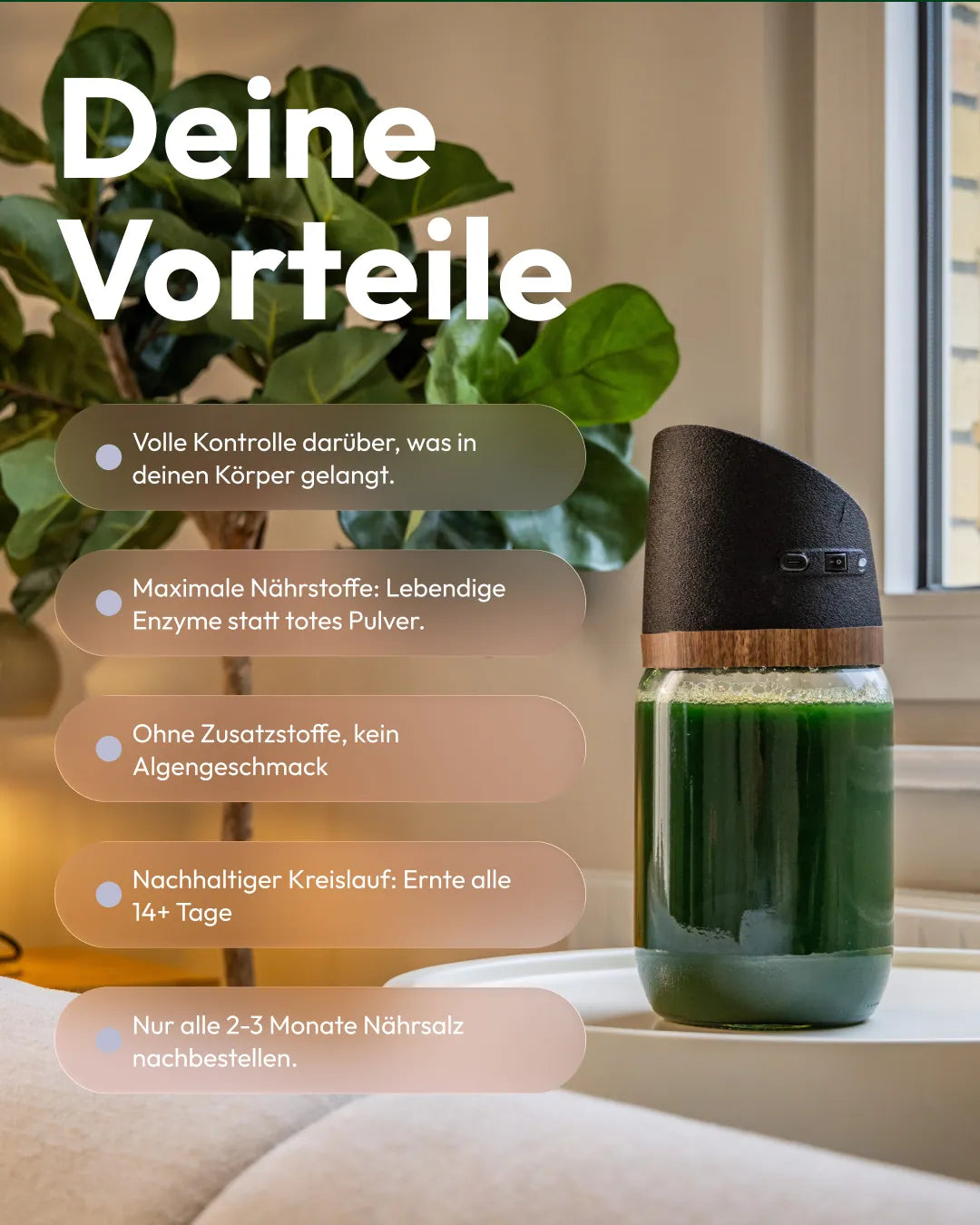 Deine Vorteile mit MySpirulina: frische Spirulina ohne Zusätze selbst anbauen