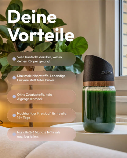 Deine Vorteile mit MySpirulina: frische Spirulina ohne Zusätze selbst anbauen