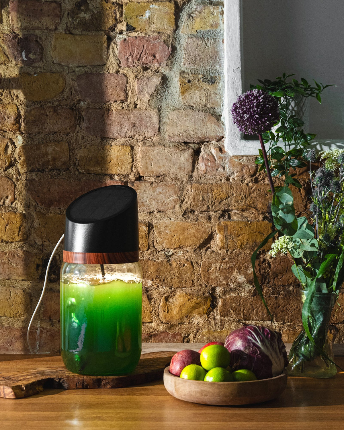 MySpirulina Farm mit frischer, lebendiger Spirulina auf der Küchentheke