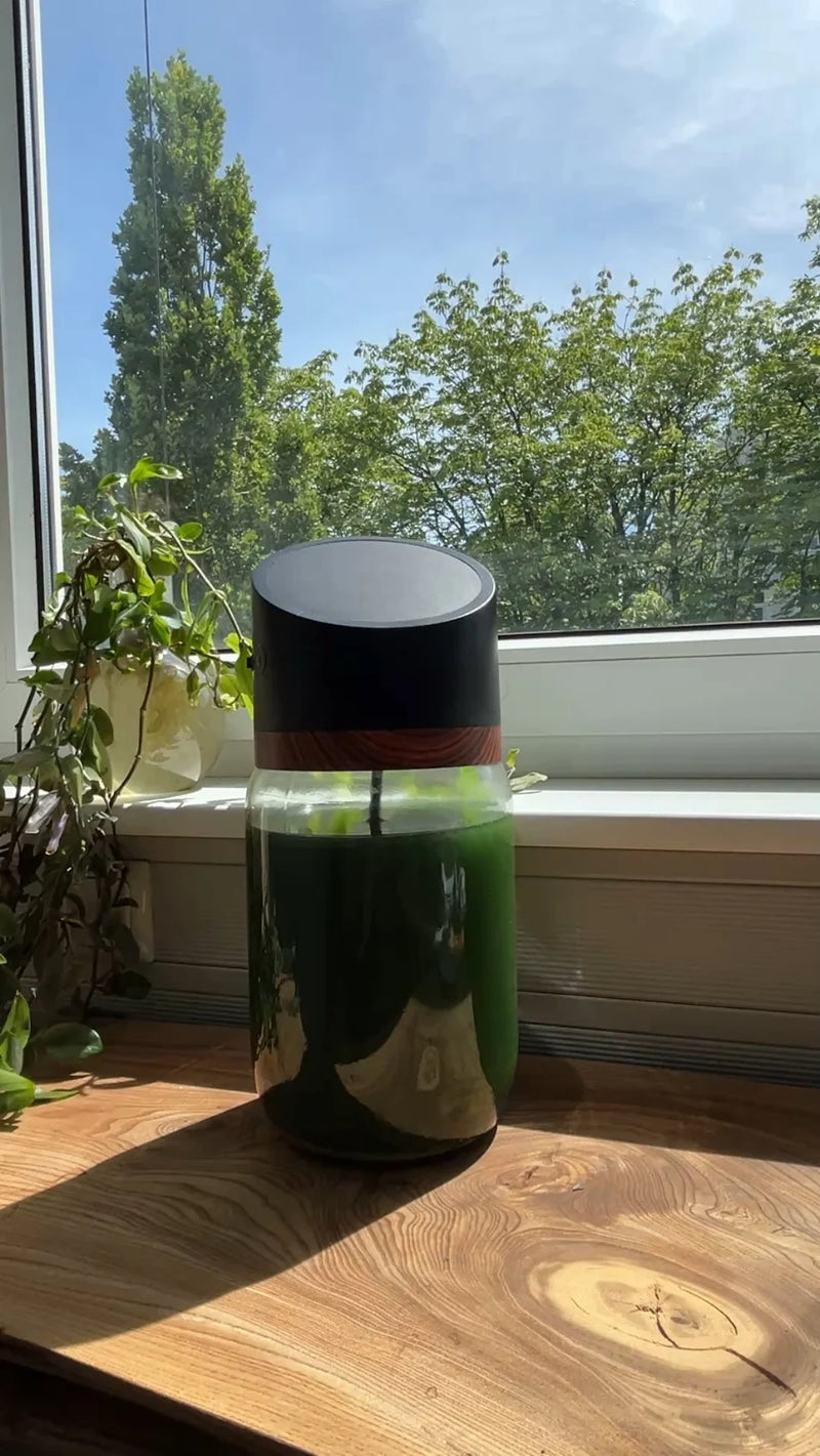 MySpirulina Farm mit frischer Spirulina auf einem Holztisch am sonnigen Fenster
